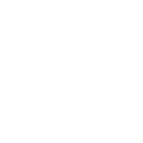 Safer Group